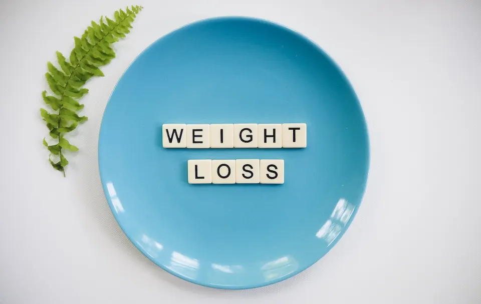 meal plans for fast weight loss