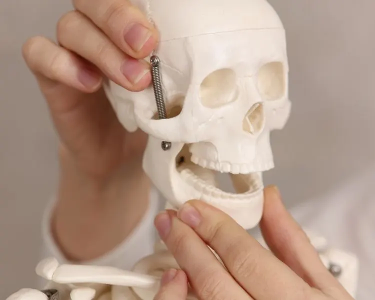 crooked teeth effects on dental health - Auswirkungen von schiefe Zähne