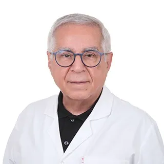 Ahmet Akkaşoğlu