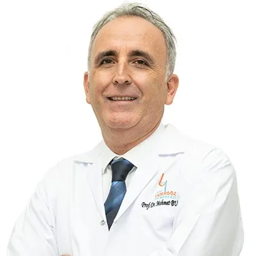 Prof. Dr. Mehmet Bulut